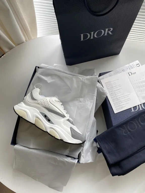 Dior Shoe 